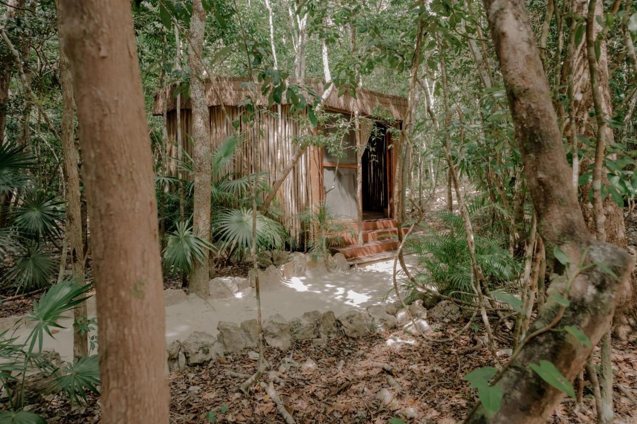 טולום Naum - Secluded Villa With Private Cenote מראה חיצוני תמונה