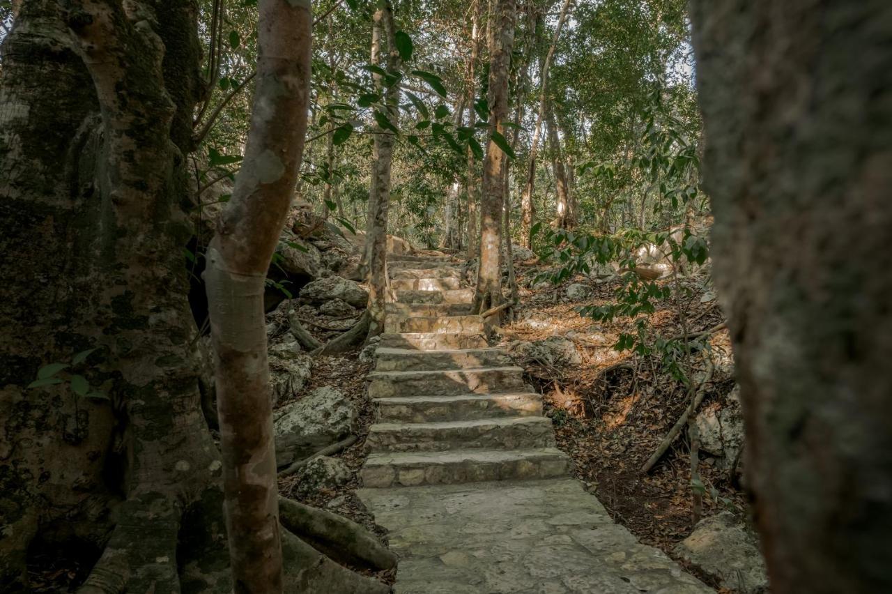 טולום Naum - Secluded Villa With Private Cenote מראה חיצוני תמונה