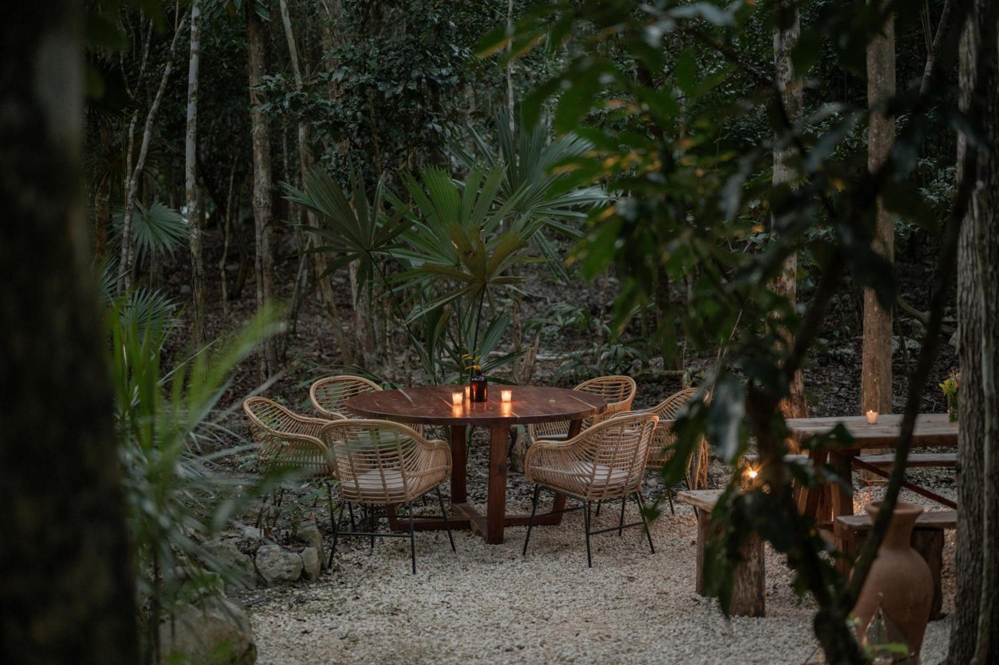 טולום Naum - Secluded Villa With Private Cenote מראה חיצוני תמונה