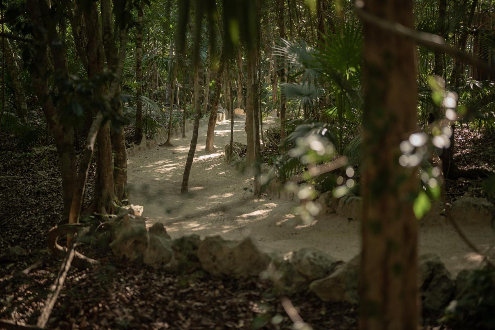 טולום Naum - Secluded Villa With Private Cenote מראה חיצוני תמונה